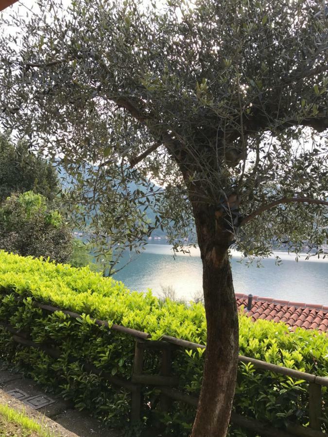 App. Monte Isola Vista Panoramica Villa Dış mekan fotoğraf